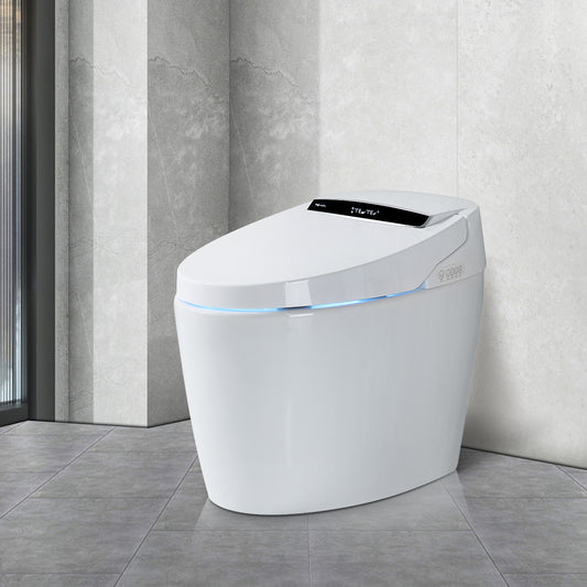 Smart Toilets with Heated Bidet Seat.Portable toilet with bidet built.Intelligent Toilet Auto Open/Close Seat. Bidet toilet with Dryer and Warm Water