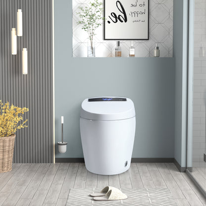 Smart Toilets with Heated Bidet Seat.Portable toilet with bidet built.Intelligent Toilet Auto Open/Close Seat. Bidet toilet with Dryer and Warm Water