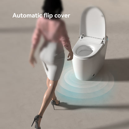 Smart Toilets with Heated Bidet Seat.Portable toilet with bidet built.Intelligent Toilet Auto Open/Close Seat. Bidet toilet with Dryer and Warm Water