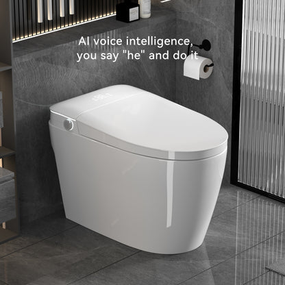 Smart Toilets with Heated Bidet Seat.Portable toilet with bidet built.Intelligent Toilet Auto Open/Close Seat. Bidet toilet with Dryer and Warm Water