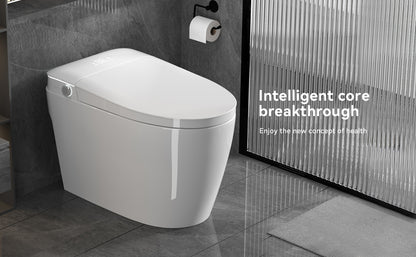Smart Toilets with Heated Bidet Seat.Portable toilet with bidet built.Intelligent Toilet Auto Open/Close Seat. Bidet toilet with Dryer and Warm Water