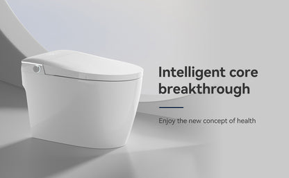 Smart Toilets with Heated Bidet Seat.Portable toilet with bidet built.Intelligent Toilet Auto Open/Close Seat. Bidet toilet with Dryer and Warm Water