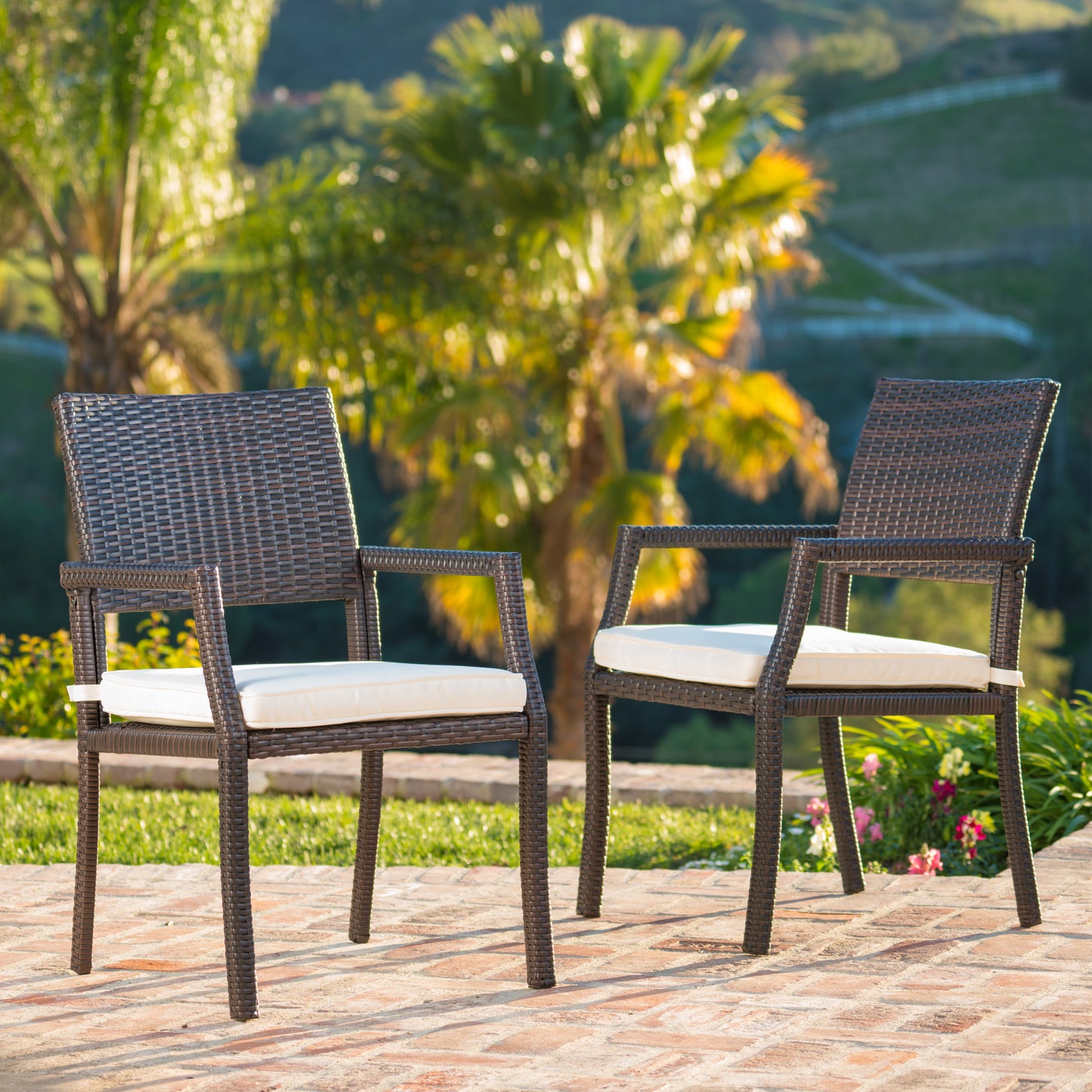 ISLAND DINING CHAIR(set of 2)
