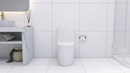 Elongated One Piece Toilet White