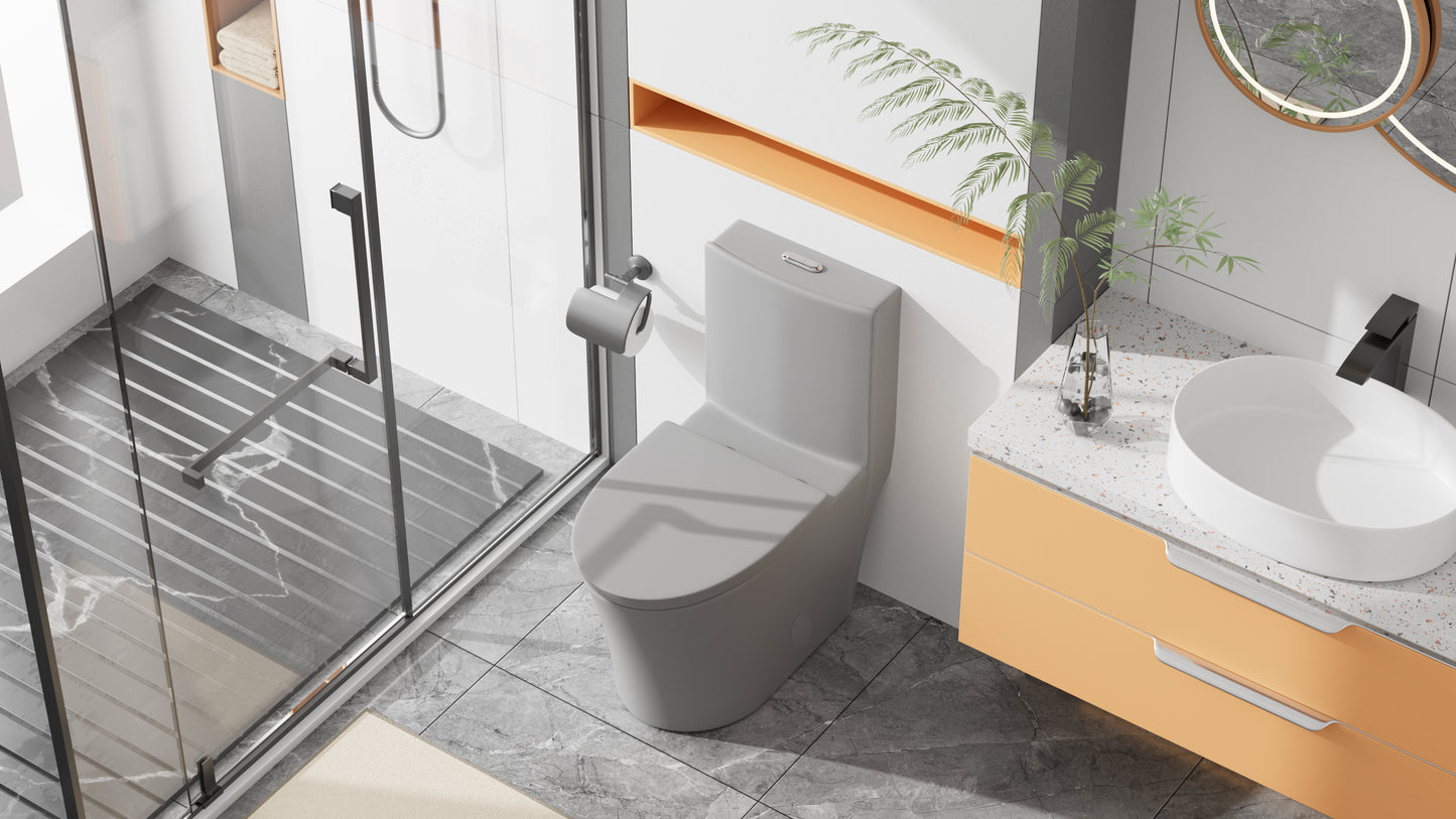 Matte Grey Elongated One Piece Toilet Dual Flush 1.1/1.6 GPF Water Saving Comfort Seat Height, Map 1000g,Grey