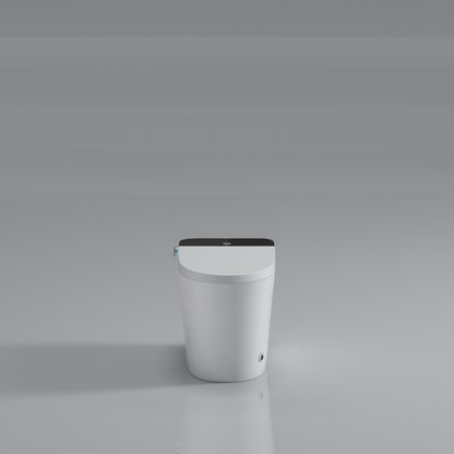 Modern Smart Toilet with Bidet Seat Built-in, Intelligent Toilet Auto Open/Close Seat, Foot Sensor, LED Display,Night Light, Warm Water & Dryer,White