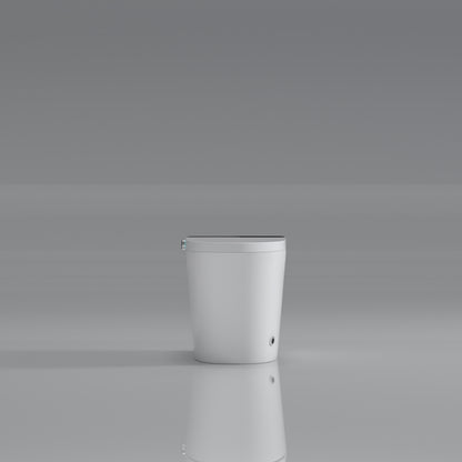 Modern Smart Toilet with Bidet Seat Built-in, Intelligent Toilet Auto Open/Close Seat, Foot Sensor, LED Display,Night Light, Warm Water & Dryer,White