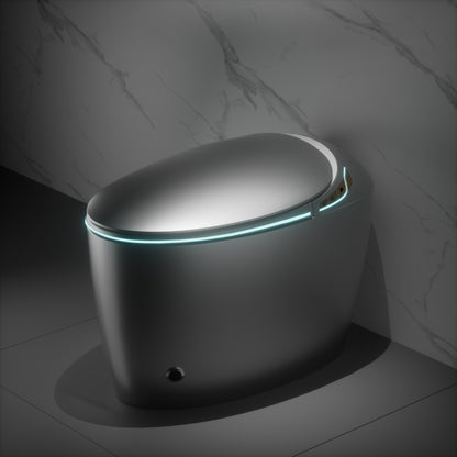 Unique Smart Toilet with Bidet Built In, Intelligent One Piece Toilet For Modern Bathroom, Auto Open/Close Seat, Foot Sensor, LED Display,Night Light, Warm Water & Dryer,Grey