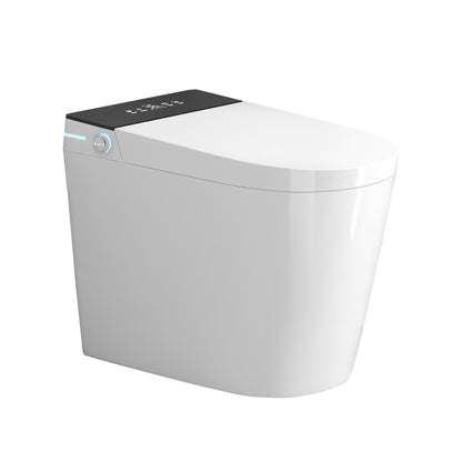 Compact Smart Toilet with Bidet Seat Built-in, Modern Tankless Design with 23.25" Depth, Auto Open Auto Flush, Heated Seat, Instant Warm Air Dryer for Small Bathrooms, White with Black Panel