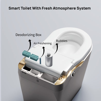 Tankless Modern Smart Toilet With Bidet, Auto Flush, Auto Open/Close,Heated Seat, Warm Water and Dry, Foam Shield Function White, Matte Grey