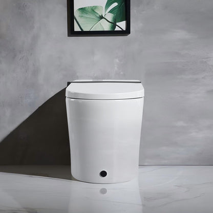 Smart Toilet with Bidet Seat Built-in,Auto Open/Close Seat, Foot Sensor, LED Display,Night Light, Warm Water & Dryer,Revolving lamp,Side Knob With Multiple Controls