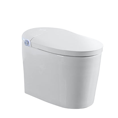 Tankless Smart Toilet With Bidet Built In, One-piece, Auto Flush, Auto Open/Close,Heated Seat, Bubble Wash,Warm Water and Dry, Adjustable Temp,Remote Control Side Know