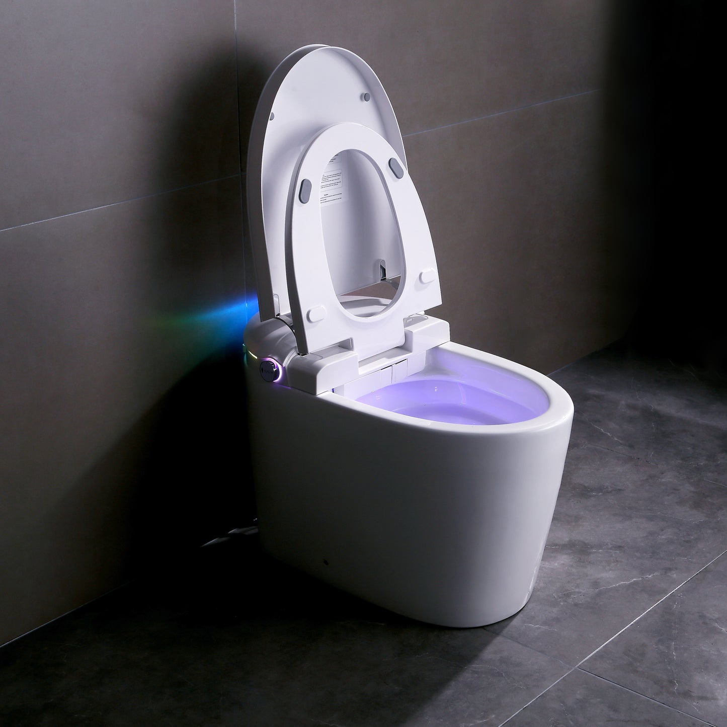 Tankless Smart Toilet With Bidet Built In, One-piece, Auto Flush, Auto Open/Close,Heated Seat, Bubble Wash,Warm Water and Dry, Adjustable Temp,Remote Control Side Know