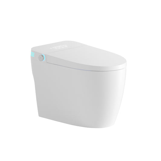 Tankless Smart Toilet With Bidet Built In, One-piece Bidet Toilet Seat, Auto Flush,Heated Seat, Warm Water and Dry, Adjustable Temp,Remote Control Side Know