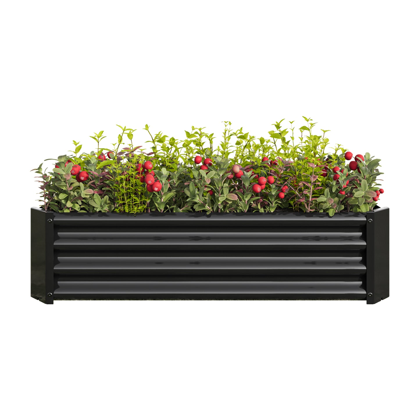 Metal Raised Garden Bed, Rectangle Raised Planter 4×2×1ft for Flowers Plants, Vegetables Herb Black