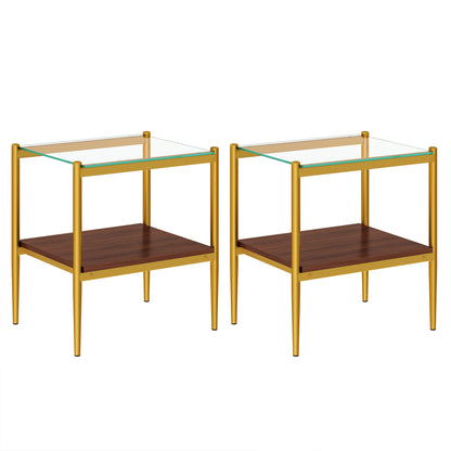 Set of 2 Rectangle End Table, Tempered Glass Tabletop with MDF layer, Modern Table for Living Room , Transparent Glass