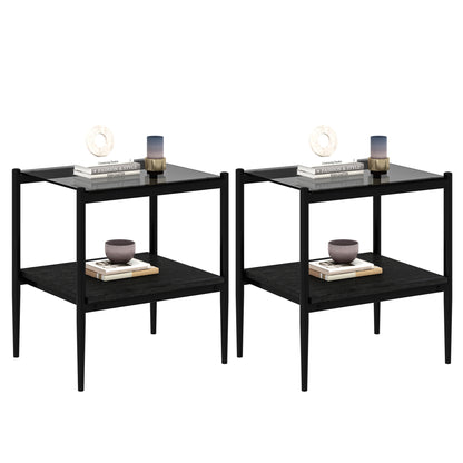 Set of 2 Rectangle End Table, Tempered Glass Tabletop with MDF layer, Modern Table for Living Room , Gray Glass