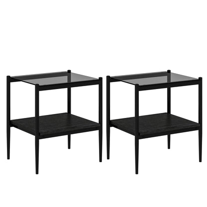 Set of 2 Rectangle End Table, Tempered Glass Tabletop with MDF layer, Modern Table for Living Room , Gray Glass