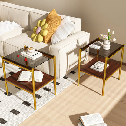 Set of 2 Rectangle End Table, Tempered Glass Tabletop with MDF layer, Modern Table for Living Room , Gray Glass