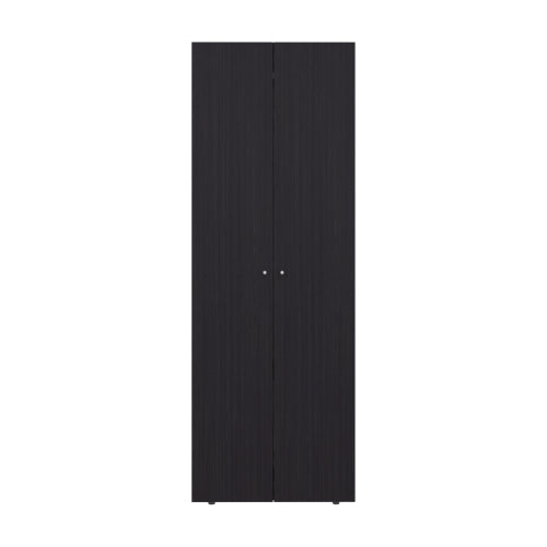 Home 2 Doors Closet System Armoire, Hanging Rod and Storage Shelf, Modern Armoire for Bedroom Organization Storage, Black