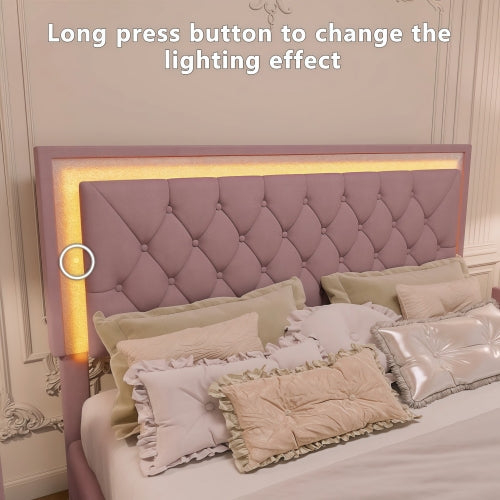 Queen Size Upholstered Bed Frame with LED Lights,Modern Velvet Platform Bed with Tufted Headboard,Pink