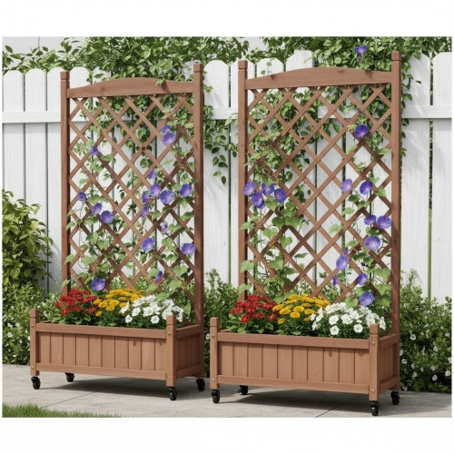 Raised Garden Bed with Trellis 2 Pack, Outdoor Wooden Planter Box Plant Stand with Climbing Racks